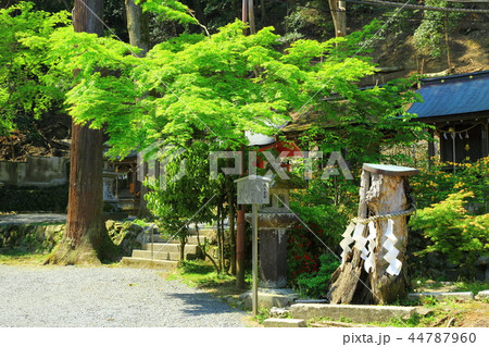 松尾大社 44787960
