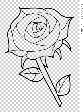 Rose Coloring Book Stock Illustration