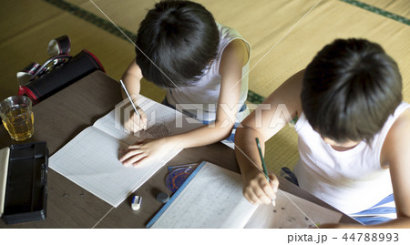 夏休みの宿題をする男の子 44788993