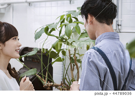 花屋にいる男女 花屋にいる男女 44789036