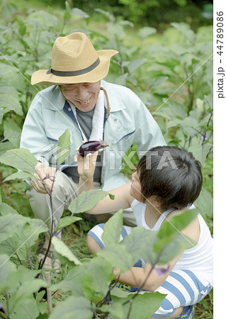 農家のシニア男性 44789086