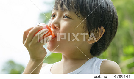 夏休みの男の子 夏休みの男の子 44789141
