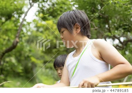 夏休みの男の子 44789185