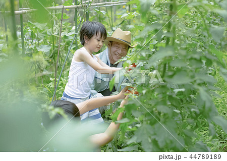 おじいちゃんと孫 おじいちゃんと孫 44789189