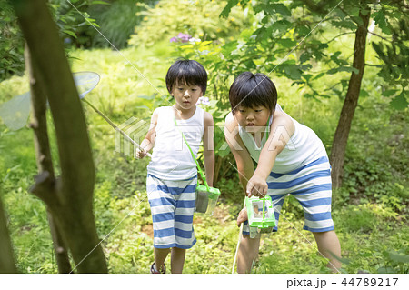 夏休みの男の子 夏休みの男の子 44789217