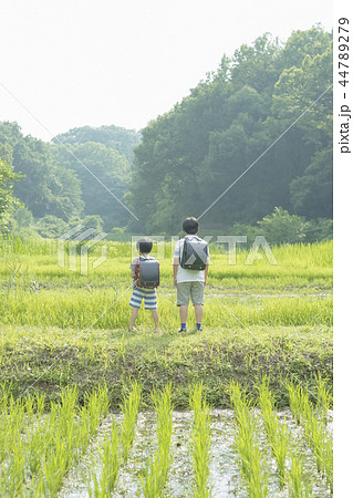 通学途中の小学生 通学途中の小学生 44789279