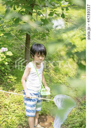 夏休みの男の子 夏休みの男の子 44789337