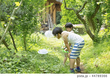 夏休みの男の子 44789366