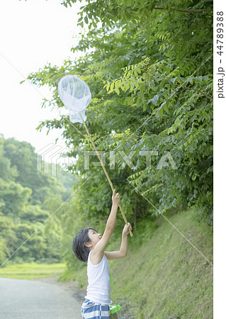 夏休みの男の子 夏休みの男の子 44789388
