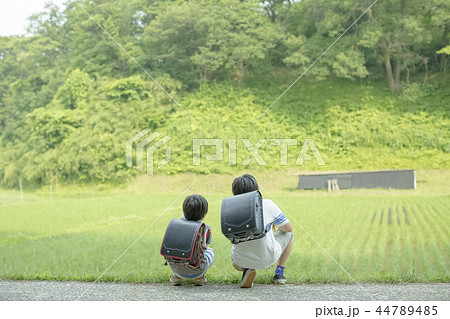 小学生の通学路 小学生の通学路 44789485