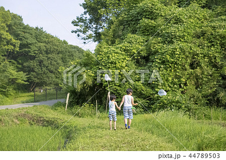 夏休みの男の子 44789503