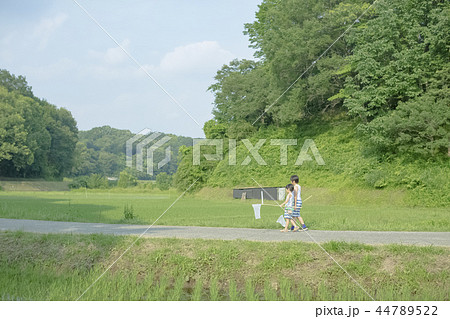 夏休みの男の子 44789522