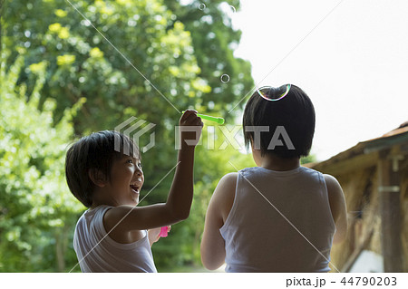 夏休みの男の子 44790203