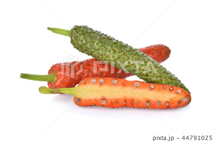 Long Pepper isolated on white background Long Pepper isolated on white background 44791025