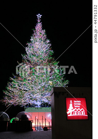 クリスマスツリー クリスマスツリー 44791332