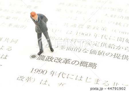 農業ビジネスイメージ 農業ビジネスイメージ 44791902