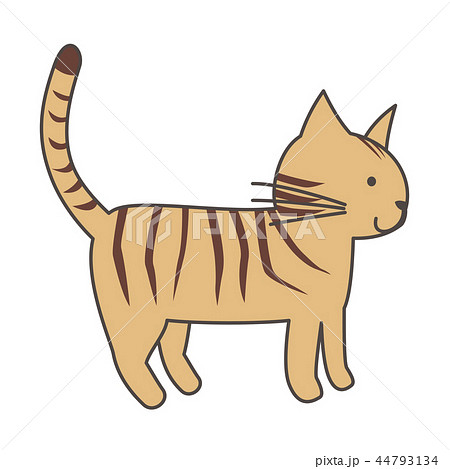 猫 44793134