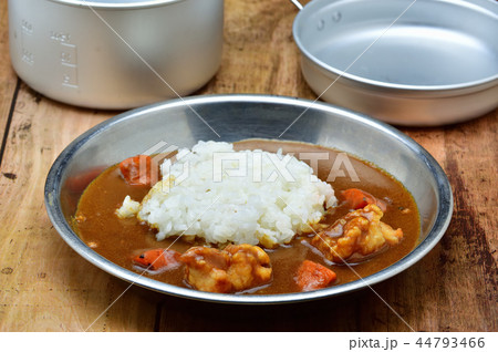 キャンプの定番 カレーライス キャンプの定番 カレーライス 44793466