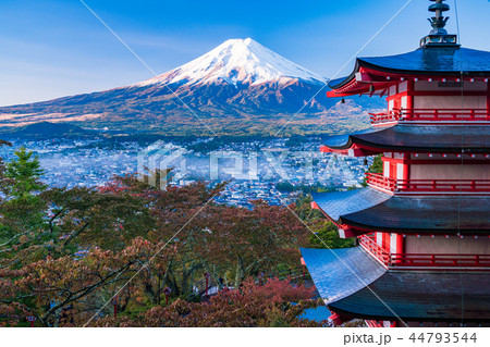 （山梨県）桜紅葉した新倉山浅間公園、忠霊塔と新雪富士 44793544