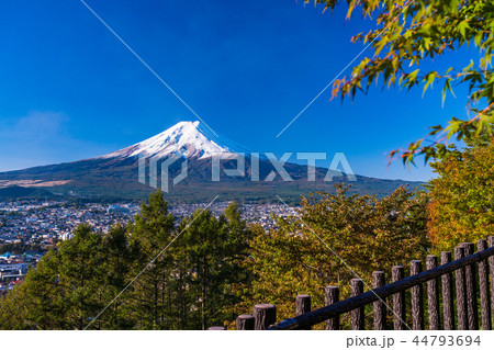 （山梨県）新倉山浅間公園から望む新雪富士 44793694