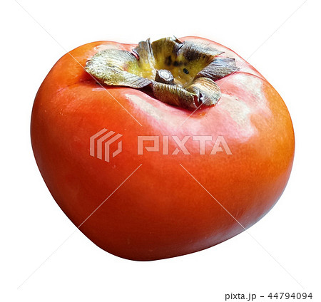 デザイン 柄 野望 44794094