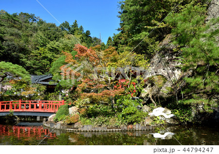 初秋の大谷寺の庭園・朱橋 44794247