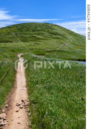 巻機山の山頂 44794809