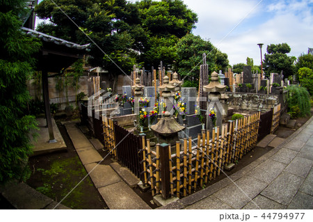 Yanaka Cemetery 44794977