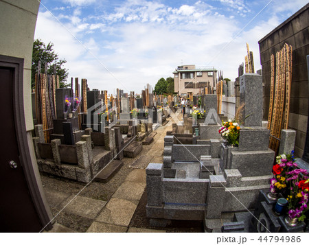 Yanaka Cemetery Yanaka Cemetery 44794986