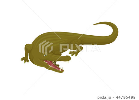 Crocodile, predatory amphibian animal vector Illustration on a white background 44795498