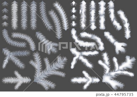 Set of White Coniferous Branches Set of White Coniferous Branches 44795735
