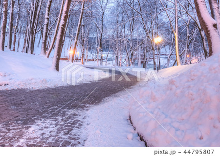 City park in winter with a pedestrian stone alley City park in winter with a pedestrian stone alley 44795807