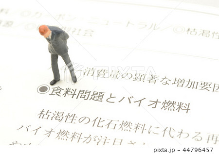 環境イメージ 環境イメージ 44796457