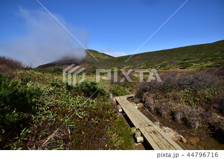 那須岳の秋 44796716