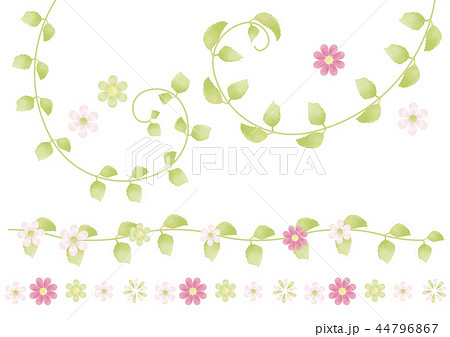 水彩風 花と蔦飾り ラインセットのイラスト素材 44796867 Pixta