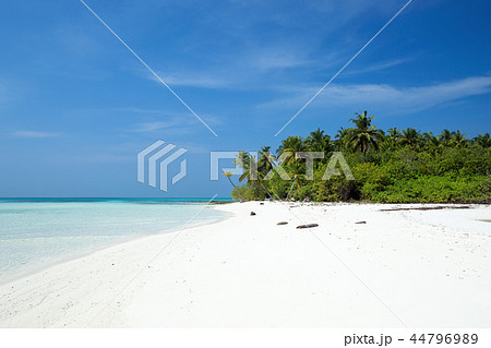 Wild Maldives island with sandy beach 44796989