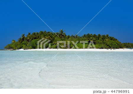 Wild Maldives island with sandy beach Wild Maldives island with sandy beach 44796991