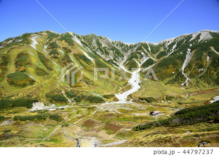 立山：雷鳥平と雷鳥坂 44797237