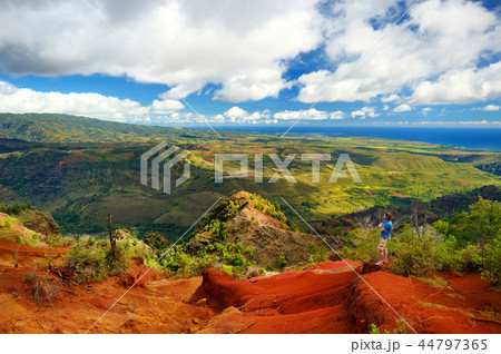 Young tourist enjoying the view of Waimea Canyon Young tourist enjoying the view of Waimea Canyon 44797365