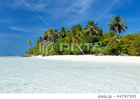 Wild Maldives island with sandy beach 44797395