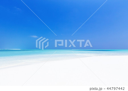 Beautiful Maldives nature 44797442