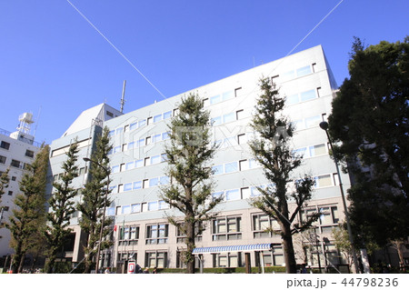 杉並区役所 44798236