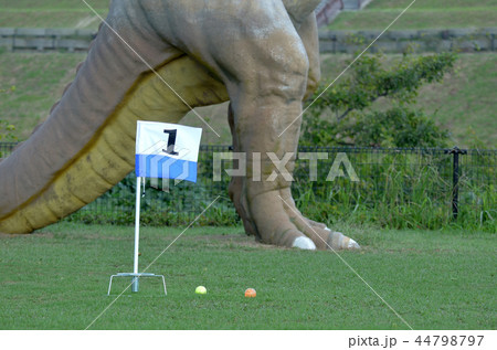 潮風の丘とまり 潮風の丘とまり 44798797