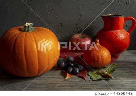 Autumn Harvest and Holiday Thanksgiving still life Autumn Harvest and Holiday Thanksgiving still life 44800448