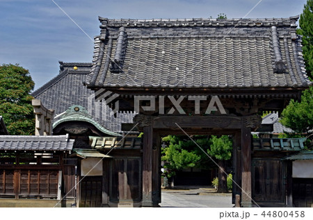 川越市の広済寺の風景 44800458
