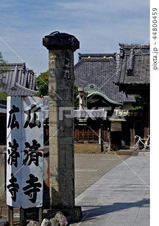 川越市の広済寺の風景 44800459