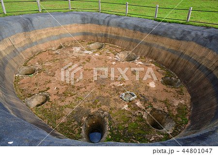 北海道函館市旧南茅部の大船遺跡で発掘された竪穴式住居址の風景を撮影 44801047
