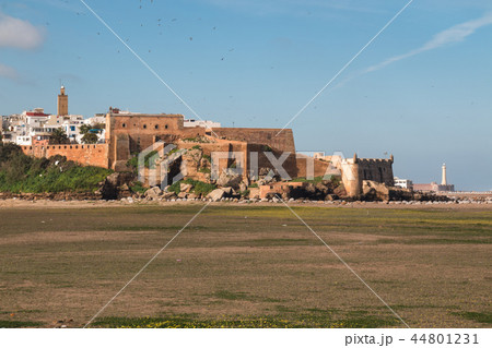 Meadow and buildings of Rabat, Morocco 44801231