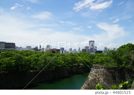 大阪城公園 44801525