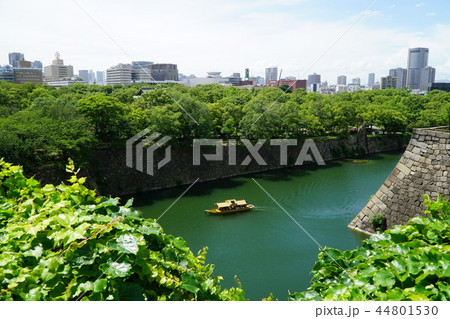 大阪城公園 44801530